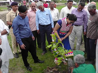 Tree Planting